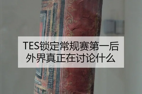 TES锁定常规赛第一后 外界真正在讨论什么