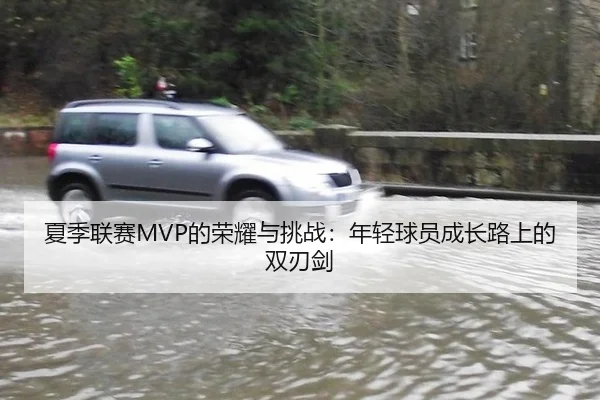 夏季联赛MVP的荣耀与挑战：年轻球员成长路上的双刃剑